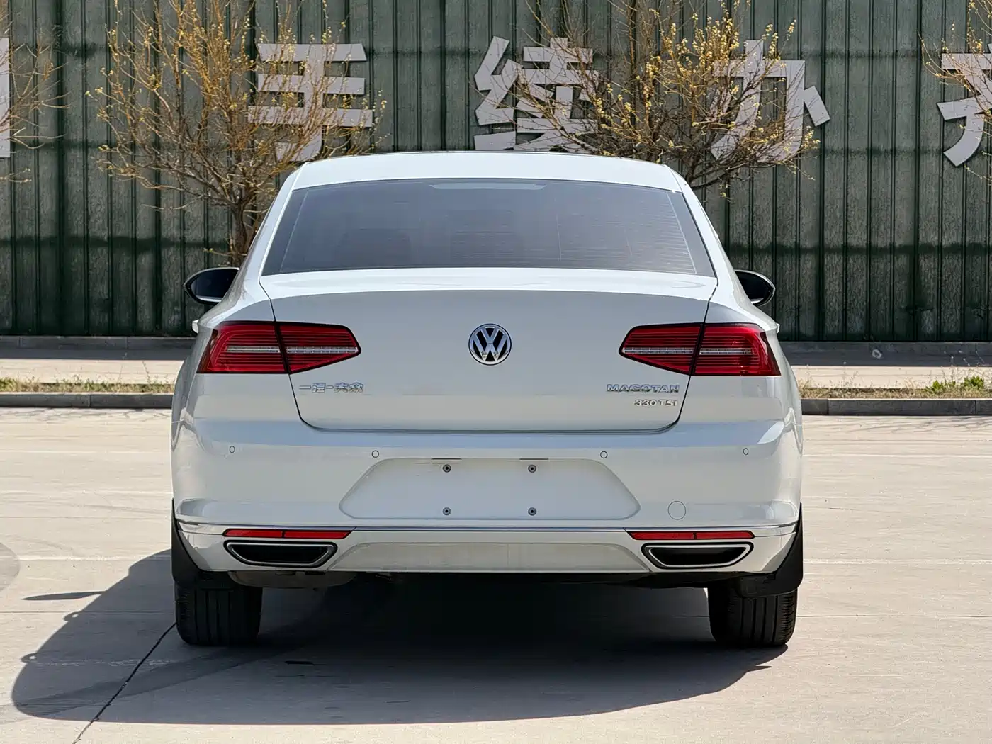 Volkswagen Magotan 2018 330TSI DSG Luxury фото 6
