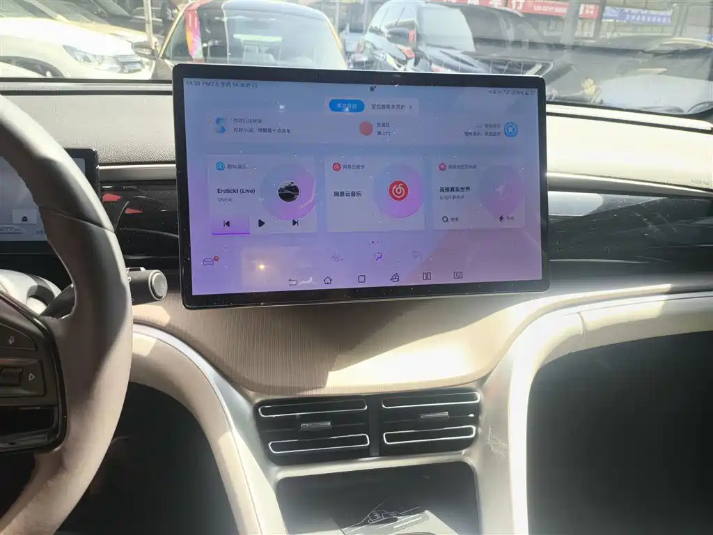 BYD Song Pro New Energy 2024 Glory Edition DM-i 110KM Excellence фото 13