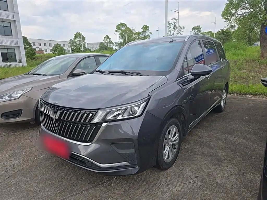Wuling Motors Wuling Jiachen 2022 1.5T Manual Light Vitality Edition