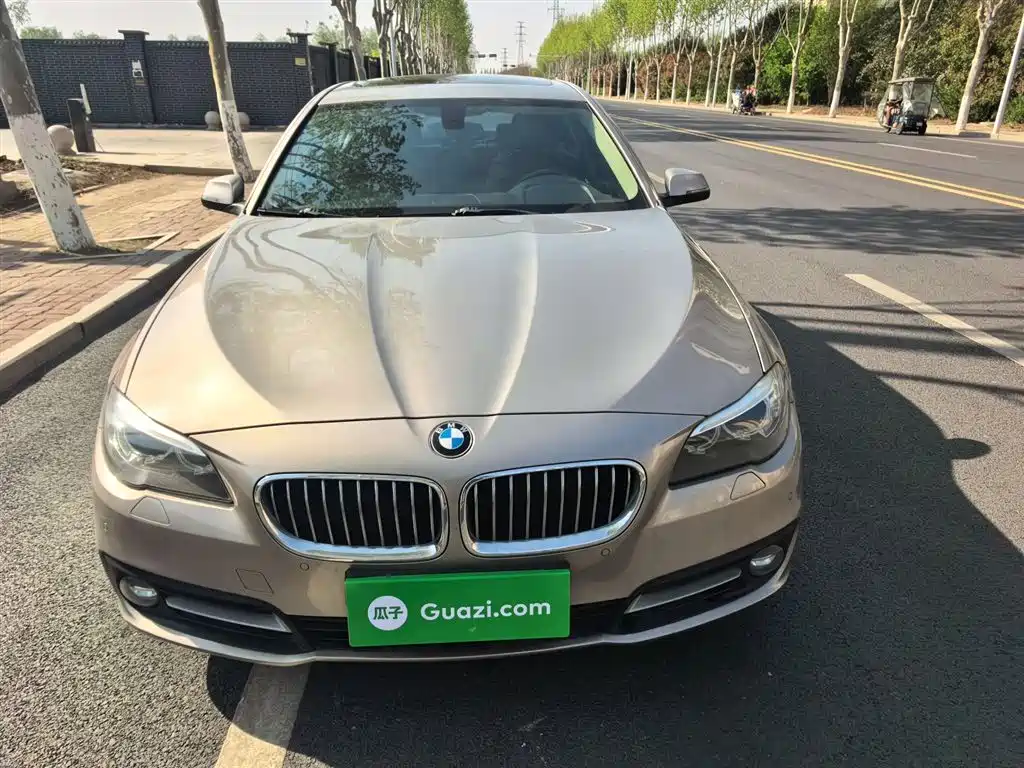 BMW 5 Series 2014 525Li Leading фото 20