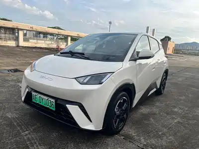 BYD Seagull