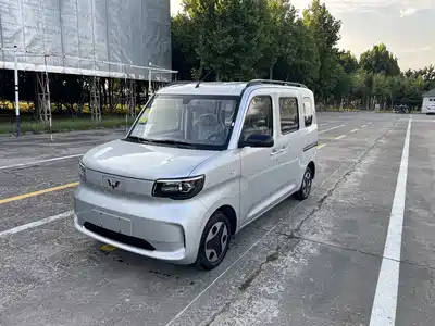 Wuling Sunshine