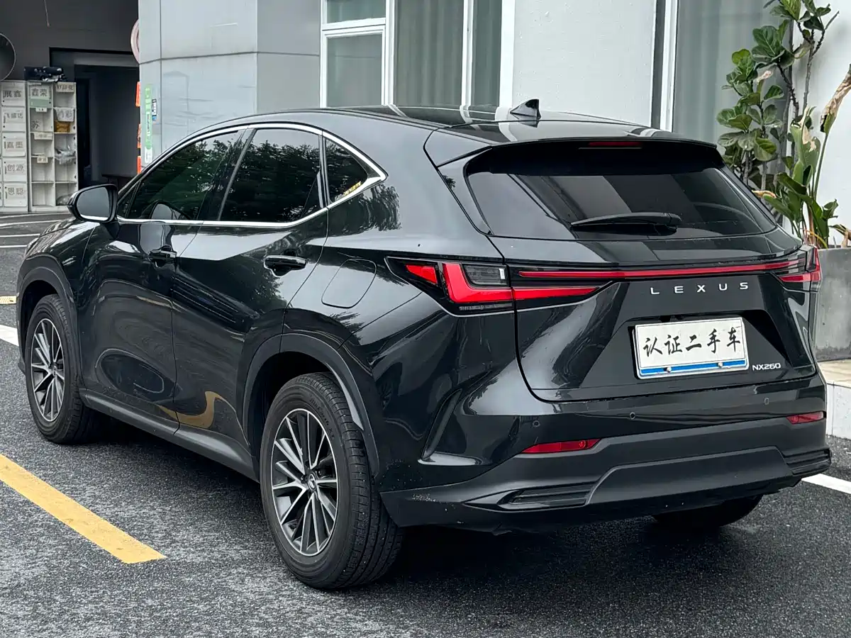 LEXUS NX