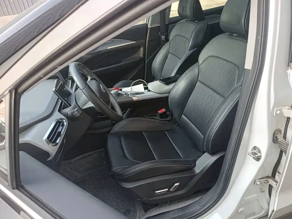 Geely Geometry C 2021 2020 Model Premium Range Edition 550KM C++