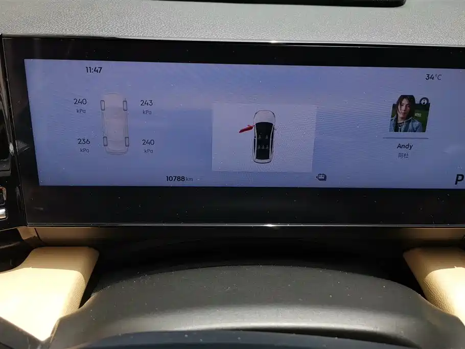 Geely Galaxy Galaxy L6 2024 125km PLUS Soaring Dragon Edition фото 14
