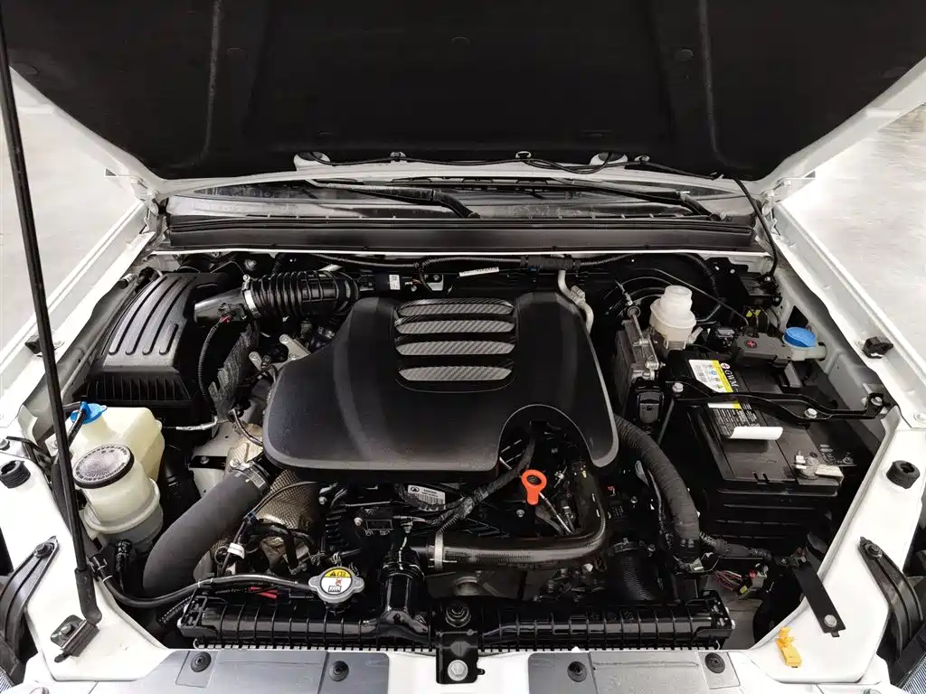 GREAT WALL FENGJUN 5