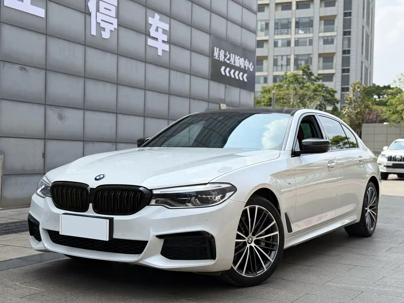 BMW 5 Series 2020 530Li Leading M Sport Package