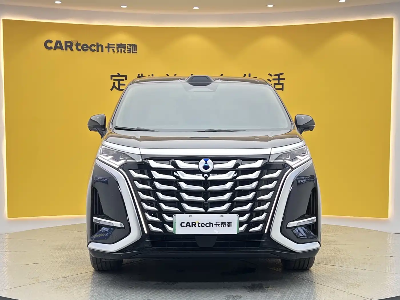 2026 Denza D9
