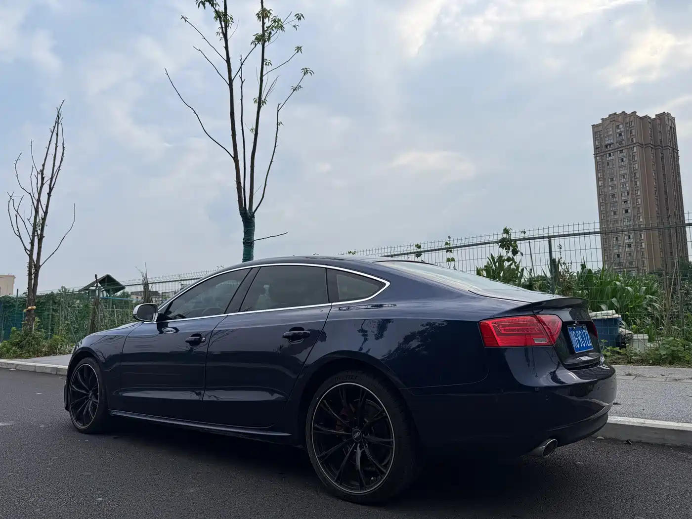 Audi A5 (Import) 2014 Sportback 45 TFSI фото 22