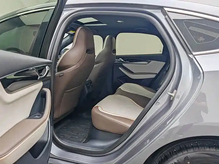 BYD Qin PLUS 2024 Glory Edition DM-i 55KM Surpass фото 6