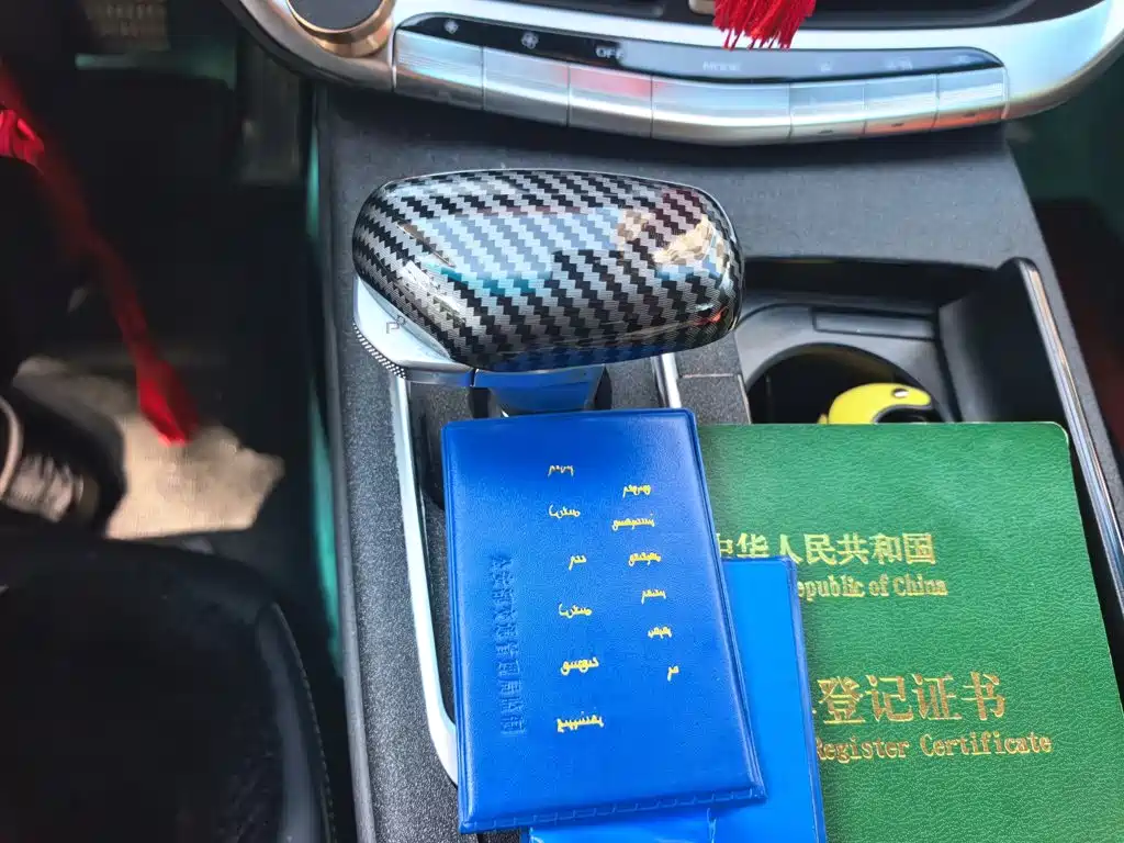 Geely Borui 2020 2020 1.5T MHEV Premium Edition