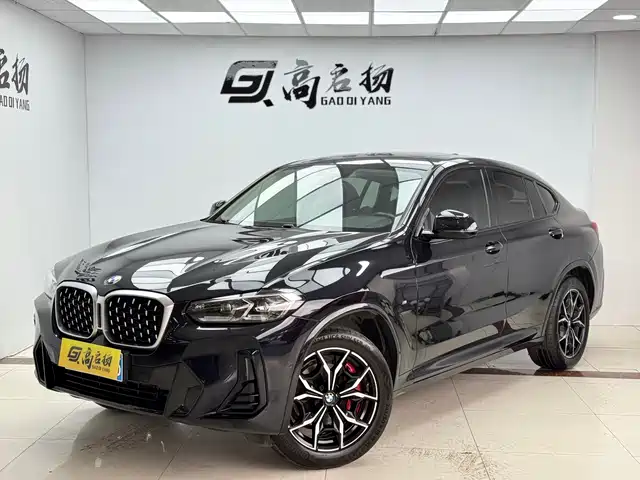 bmw x4
