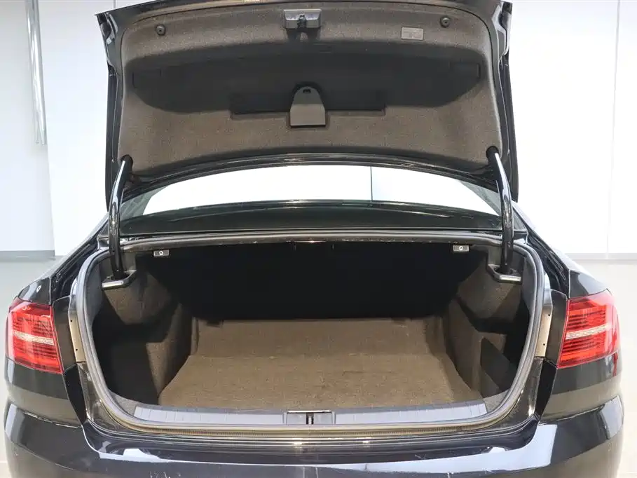 Volkswagen Magotan 2019 330TSI DSG Luxury China V фото 28