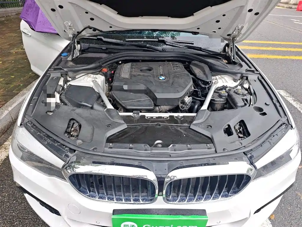 BMW 5 Series 2018 Facelift 530Li Leading M Sport Package фото 11