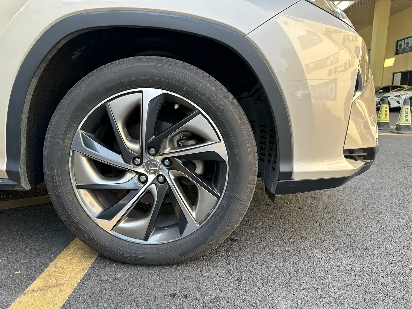 Lexus RX 2016 300 4WD Elegance Edition (China V) фото 27