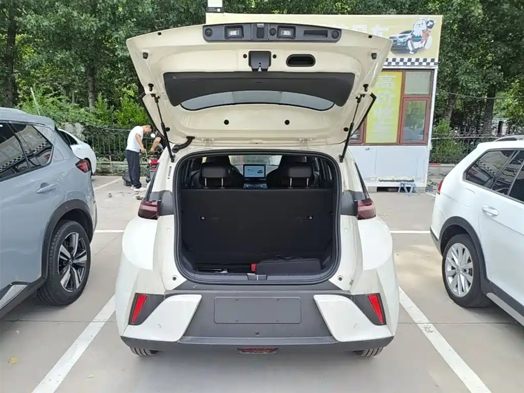 BYD Seagull 2025 Smart Drive Edition 305km Vitality Version фото 19