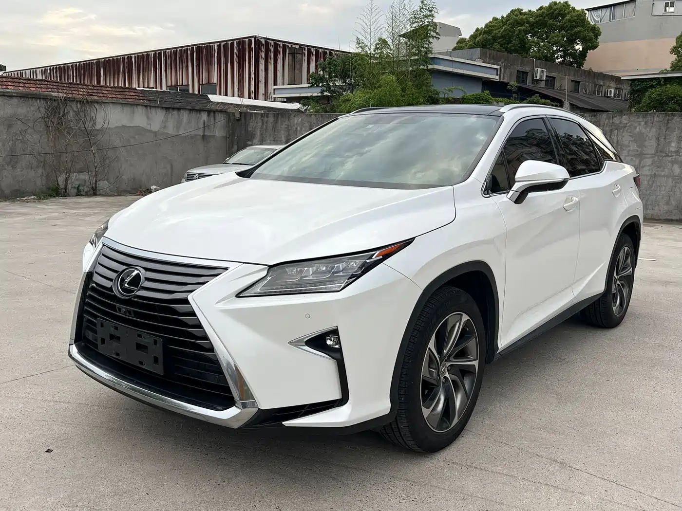 Lexus RX 2016 300 4WD Elegance Edition (China V)