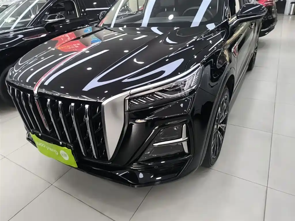 Hongqi HS5 2023 2.0T AWD Flag Enjoy Pro Edition фото 24