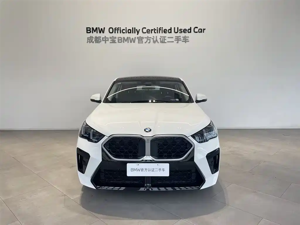 BMW X2 (Import) 2025 sDrive25i M Sport Package фото 4