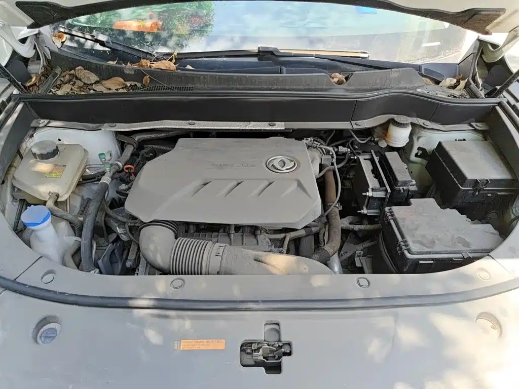 Dongfeng Aeolus Dongfeng Fengshen AX7 2021 2021 1.5T Manual Premium Edition