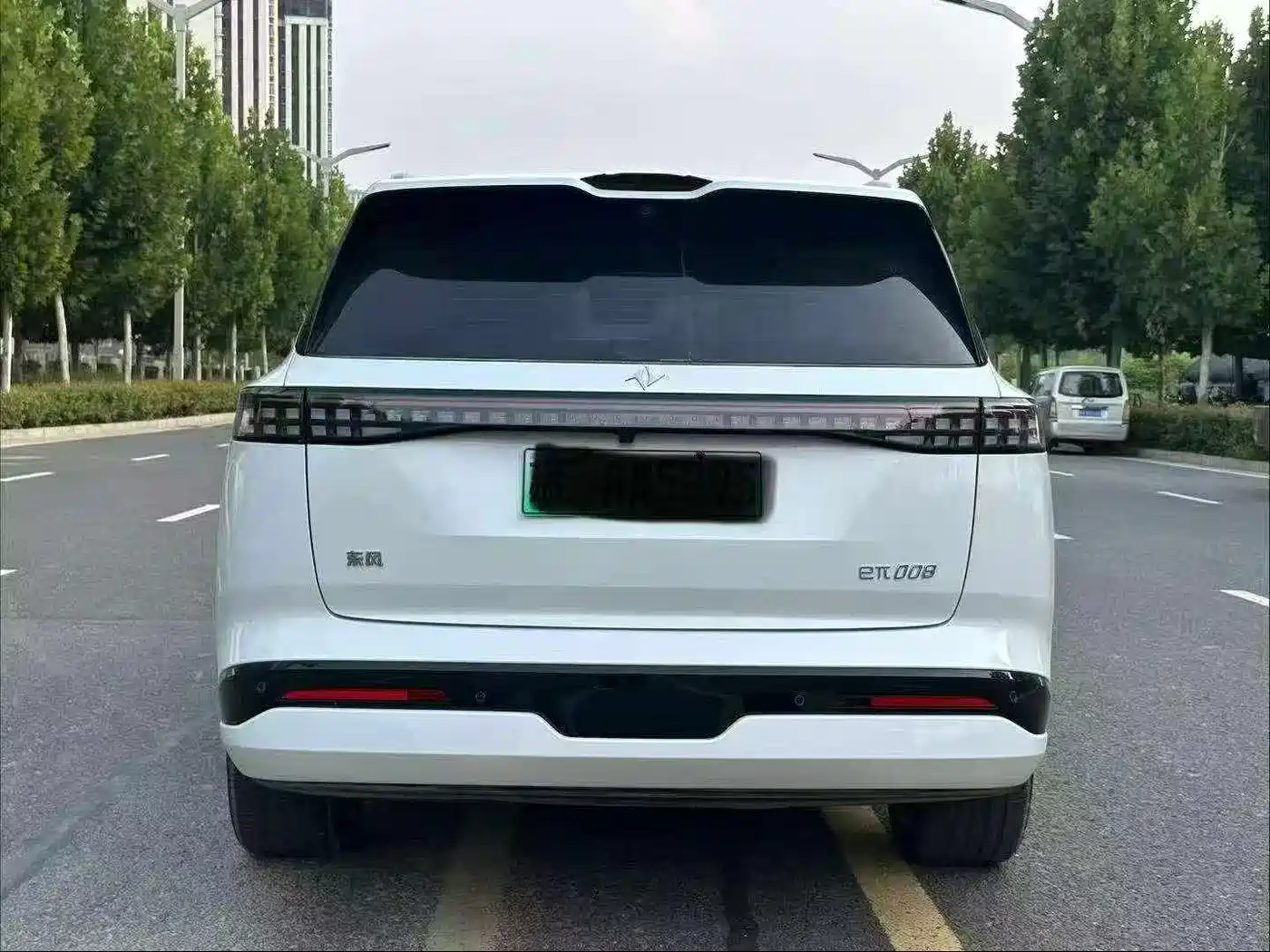 2025 Dongfeng Yipai eπ008