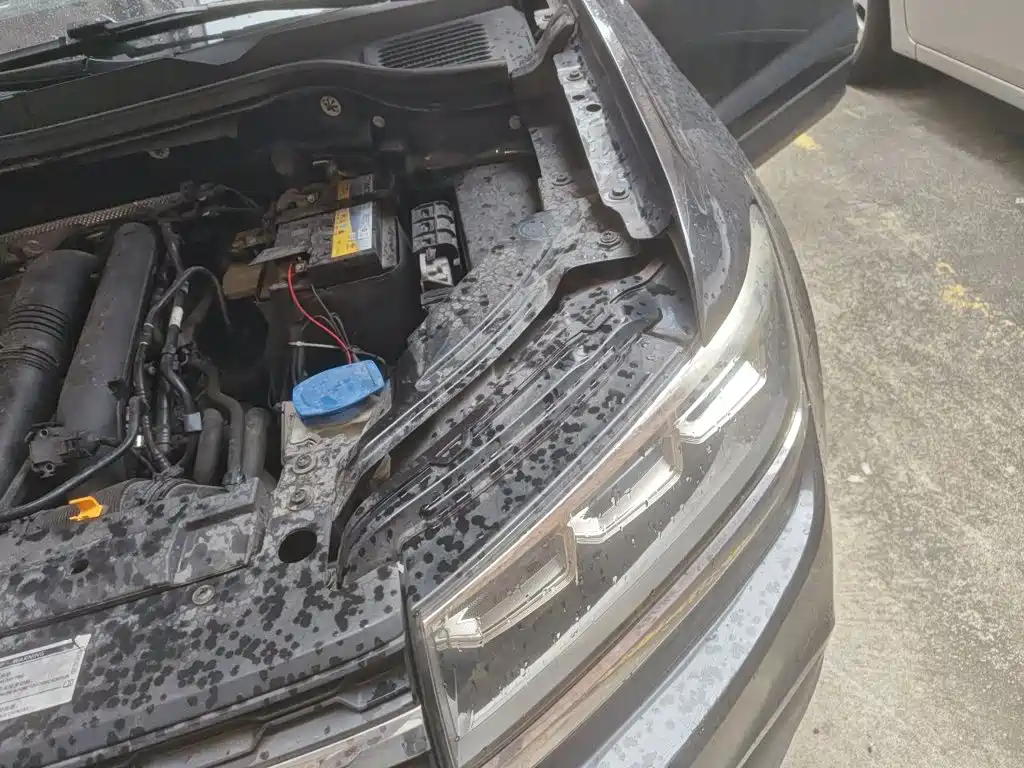 صورة 21 - Volkswagen Tharu