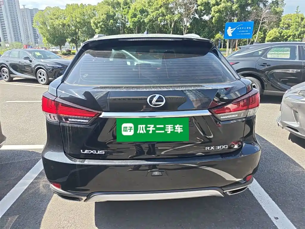 Lexus RX 2020 300 2WD Elite Edition China VI фото 6