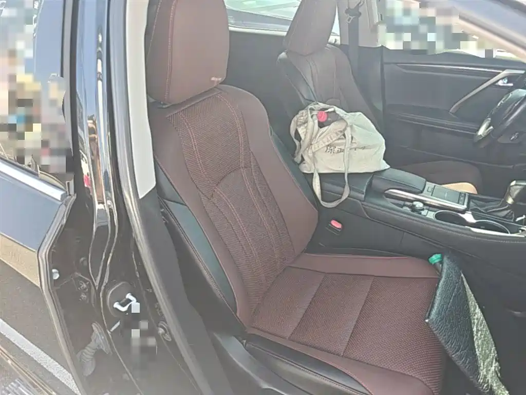 Lexus RX 2020 300 2WD Elite Edition China VI фото 25