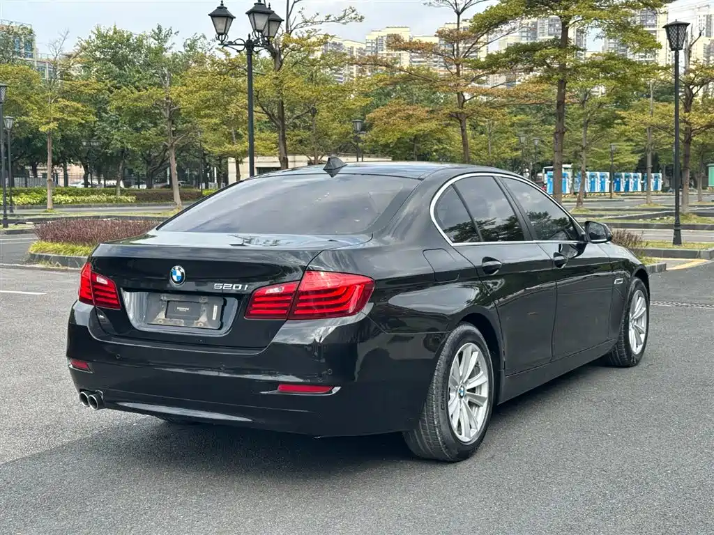 BMW 5 Series (Import) 2015 520i Elegance фото 17