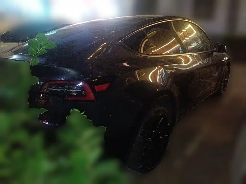 Фото 5 - Tesla Model Y