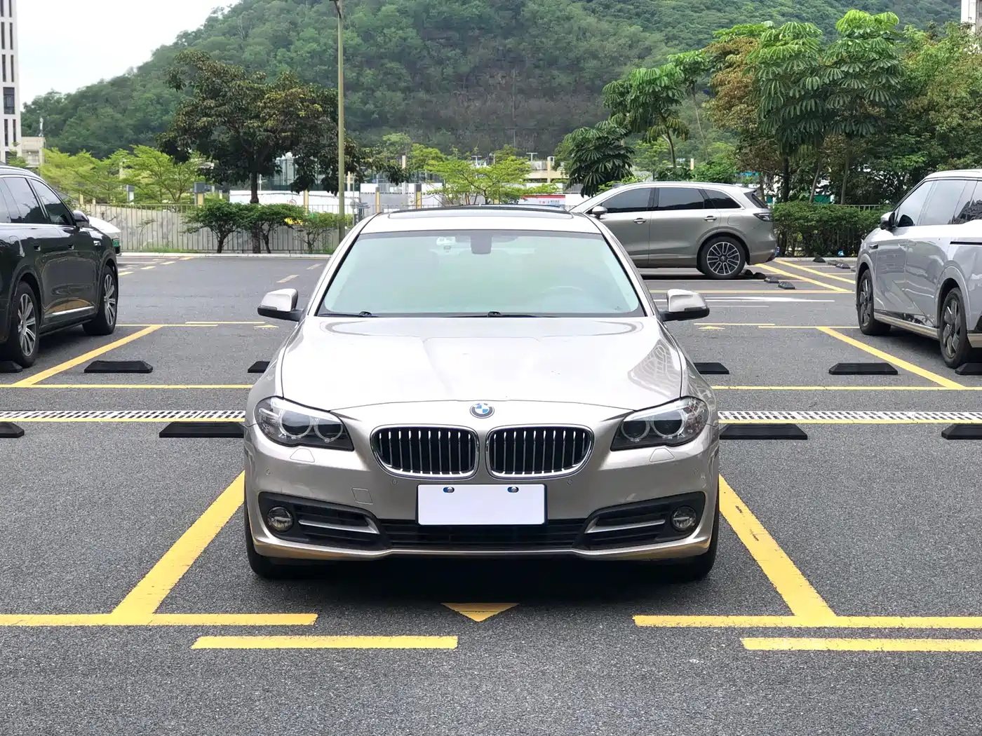 BMW 5 Series 2017 520Li Classic Edition фото 2