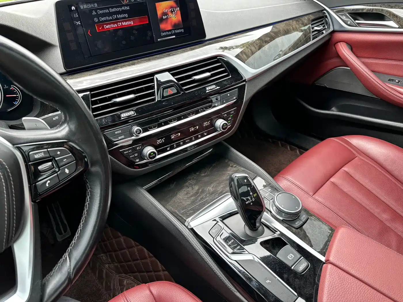 BMW 5 Series 2018 530Li Leading M Sport Package фото 9