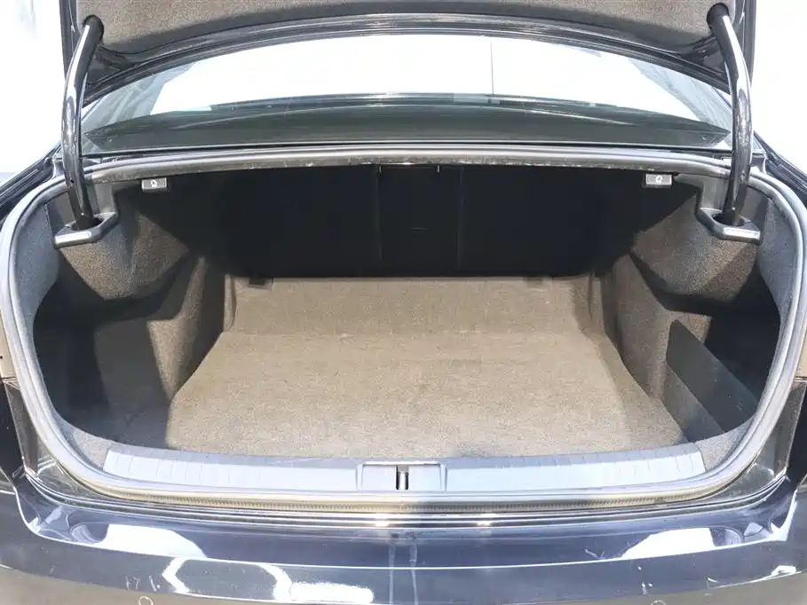 Volkswagen Magotan 2019 330TSI DSG Luxury China V фото 29