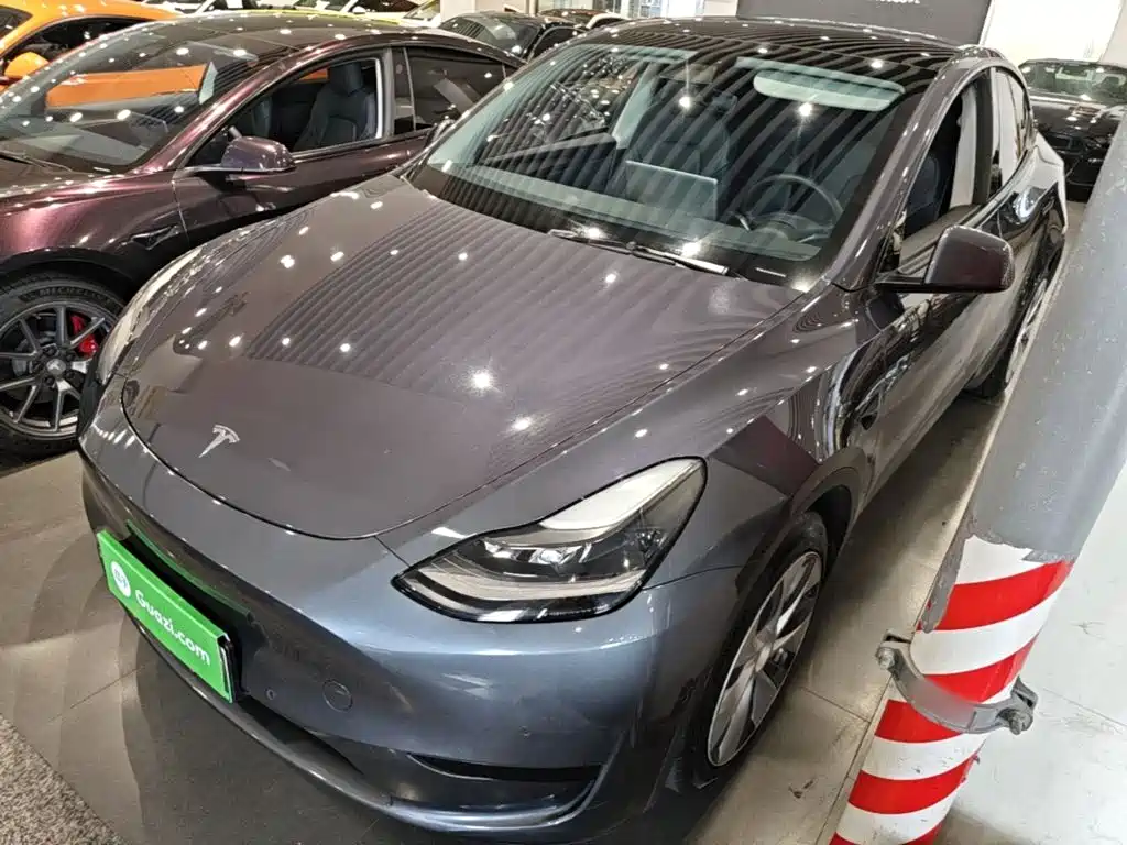 Tesla Model Y 2022 Rear-Wheel Drive Version