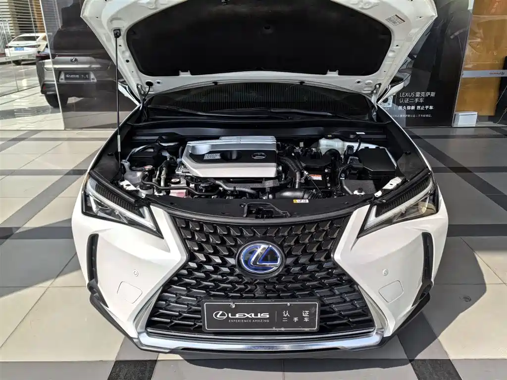 Lexus UX 2022 260h Cool Edition фото 8