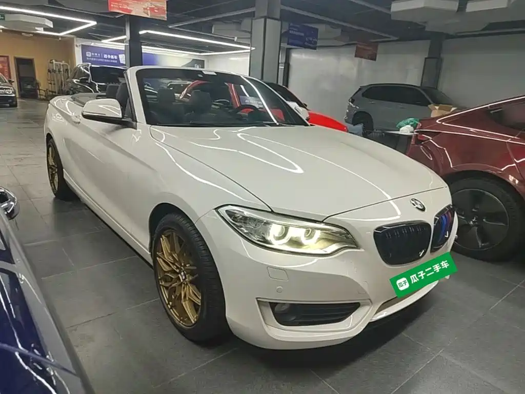 BMW 2 Series (Import) 2016 2015 220i Convertible Coupe Leading
