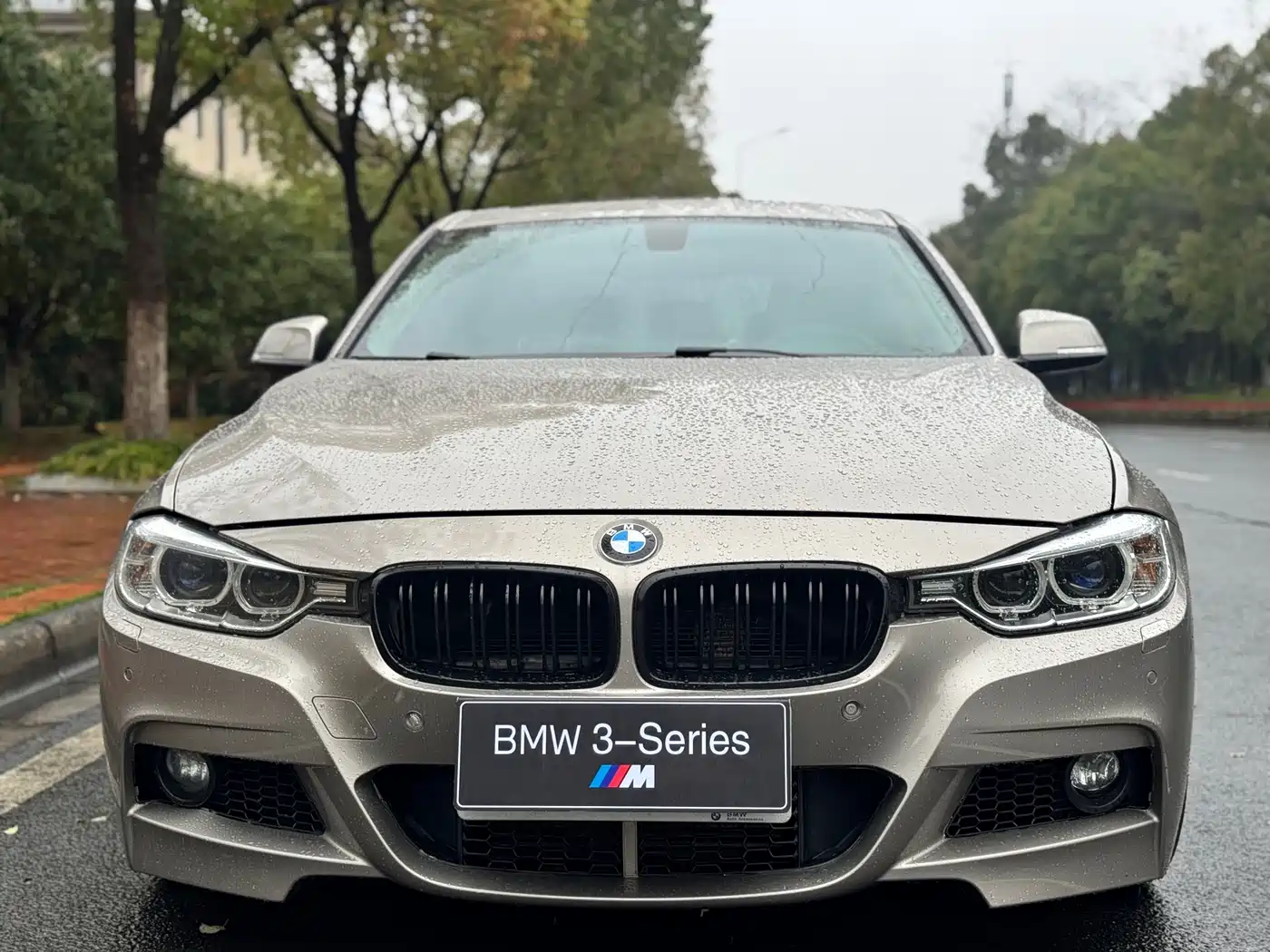 BMW 3 Series 2015 328Li Luxury Design Package фото 2