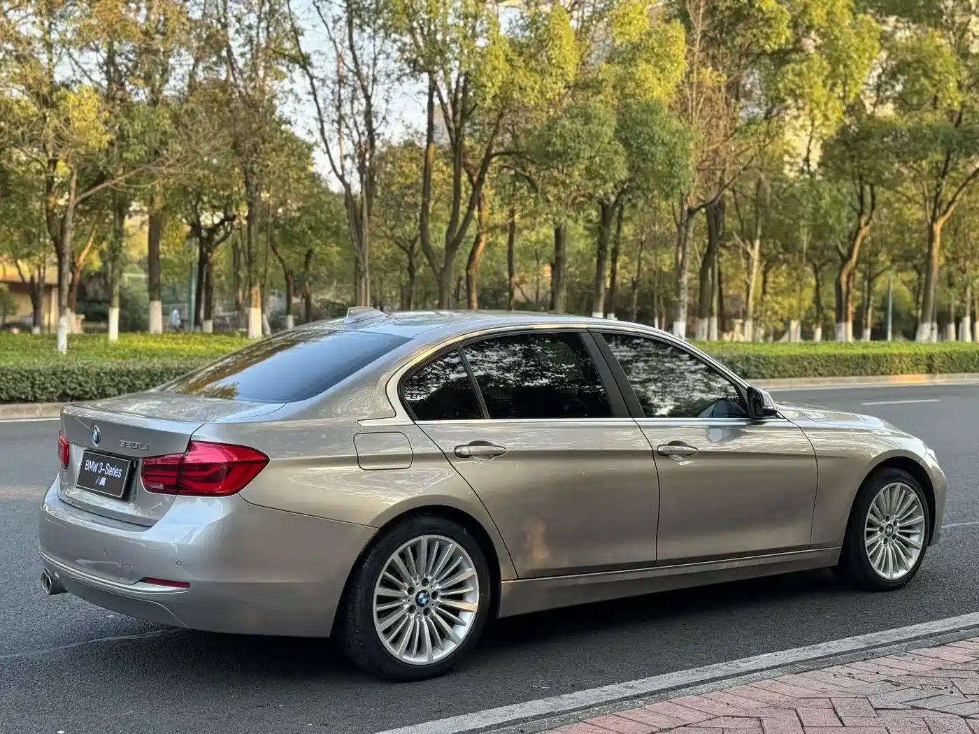 BMW 3 Series 2018 320Li Fashion Style фото 7