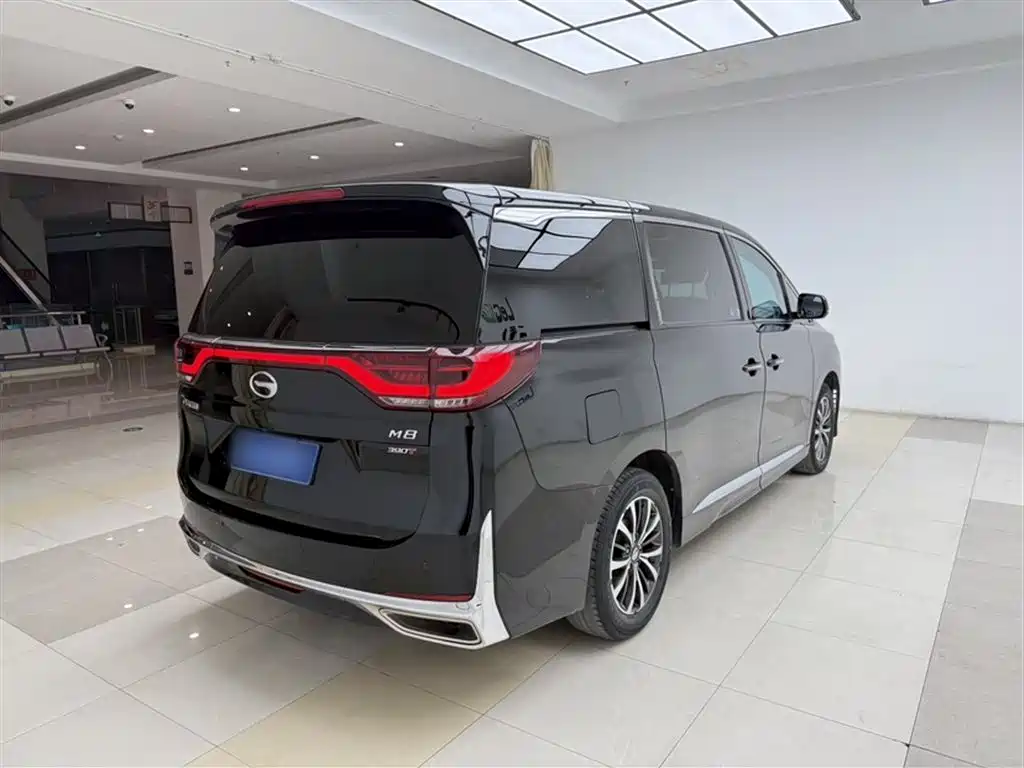 GAC Trumpchi Trumpchi M8 2023 Leading Series 390T Premium Edition фото 25