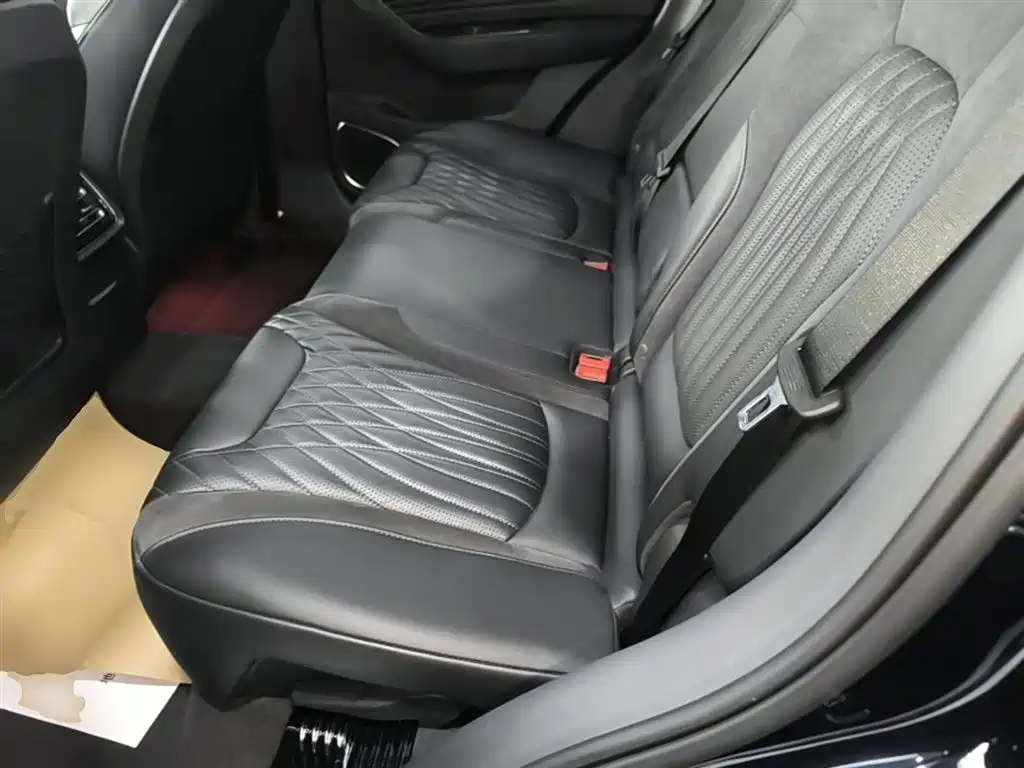Hongqi HS5 2023 2.0T AWD Flag Enjoy Pro Edition фото 17