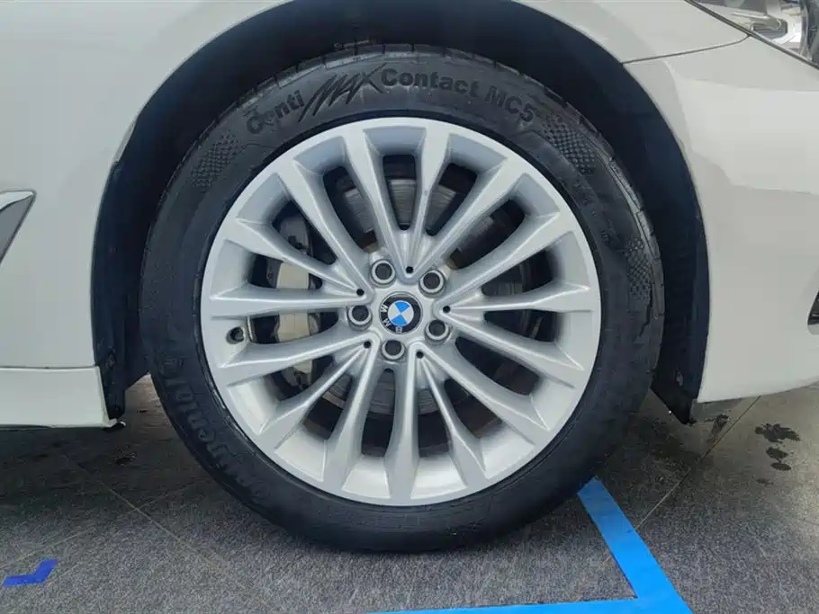 BMW 5 Series 2019 530Li Leading Luxury Package фото 6