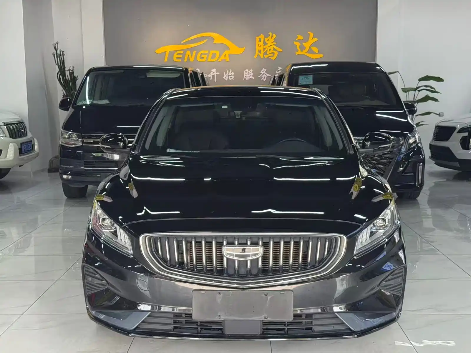 Фото 2 - Geely Borui PHEV