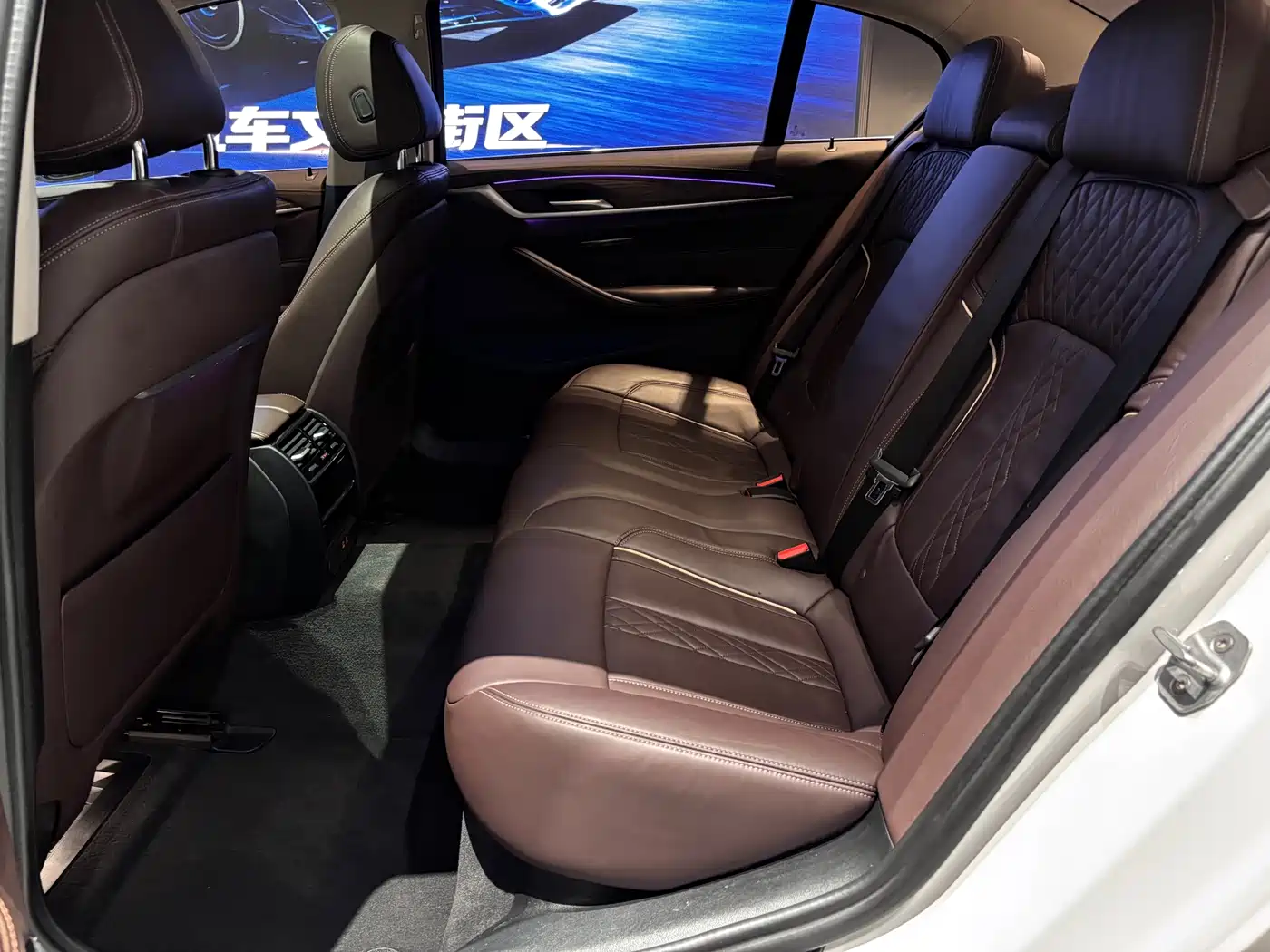 BMW 5 Series 2020 530Li xDrive Luxury Package фото 12