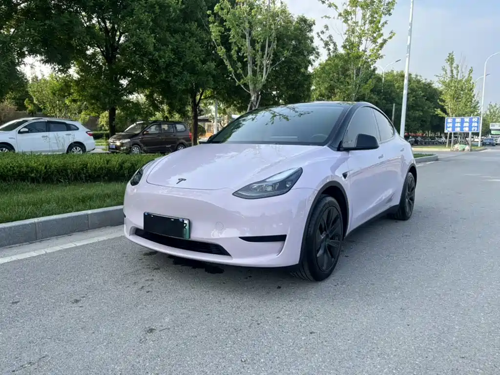 Tesla Model Y 2023 Rear-Wheel Drive Edition