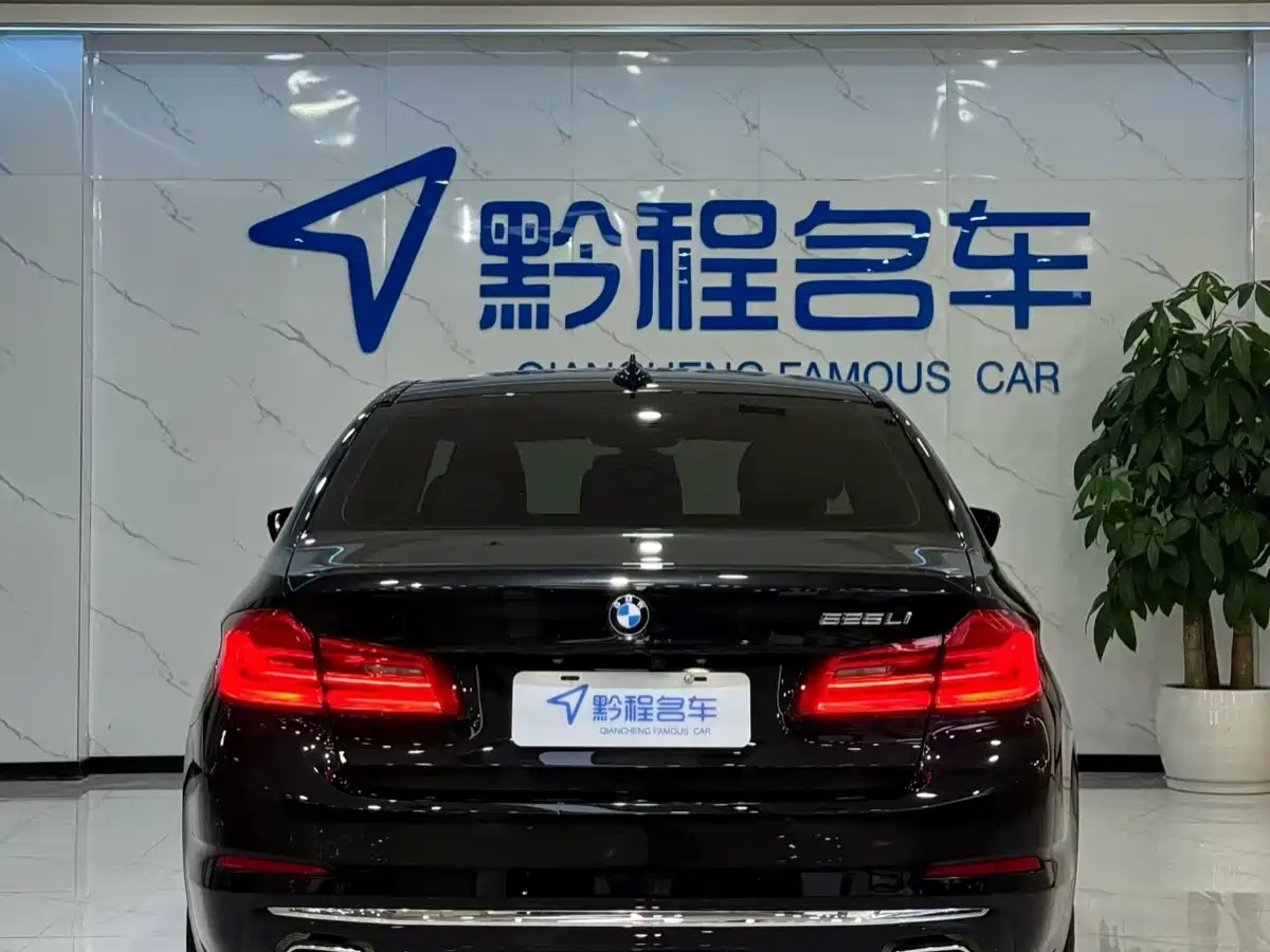 BMW 5 Series 2020 525Li Luxury Package фото 8