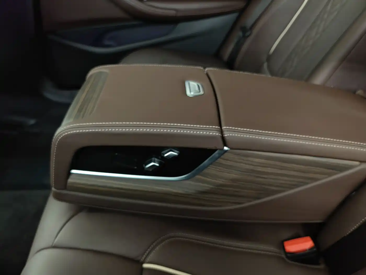 BMW 5 Series New Energy 2020 530Le Luxury Package фото 19