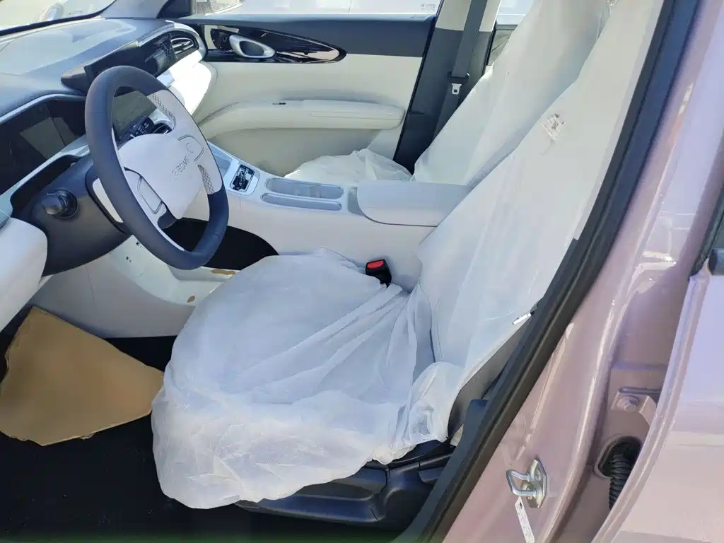 Geely Galaxy Starry Wish 2026 2026 Edition 310km Youth Version