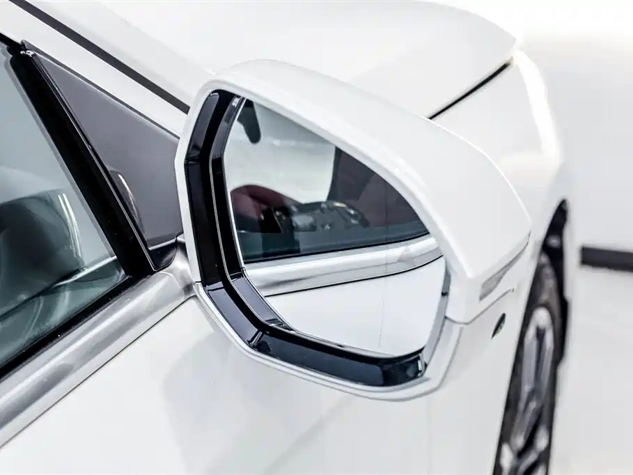 BMW 5 Series 2024 530Li Leading M Sport Package фото 25