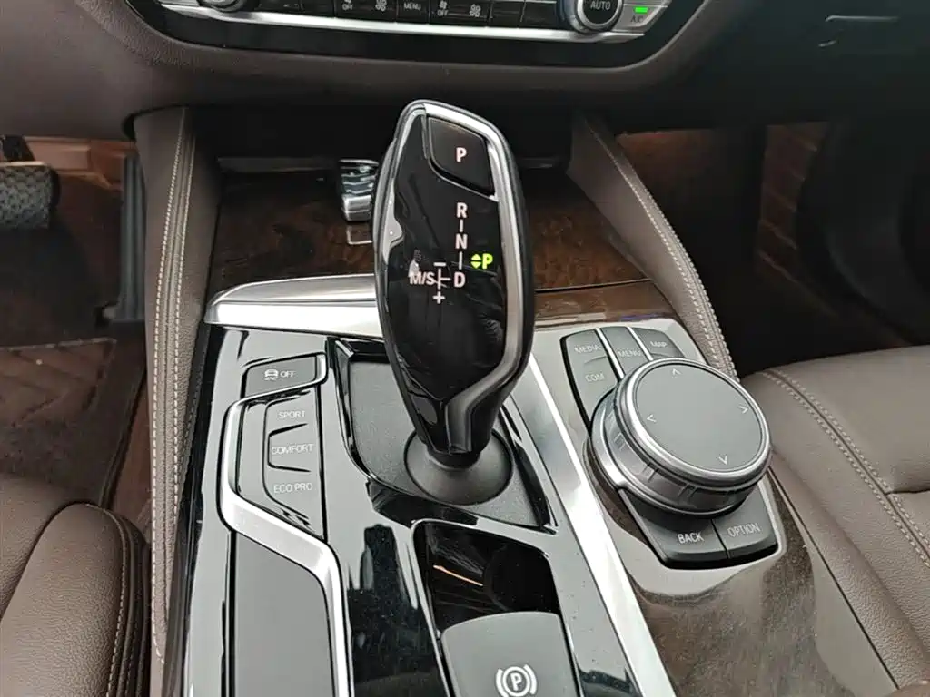 BMW 5 Series 2020 525Li Luxury Package фото 14