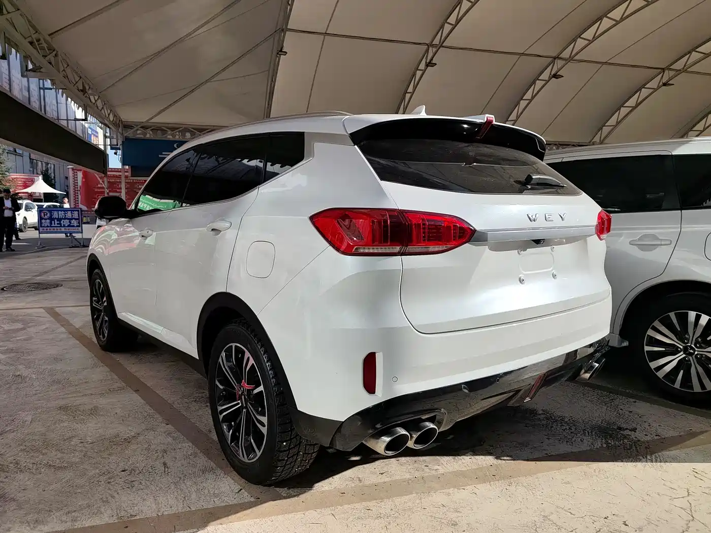 WEI PAI WEI BRAND VV6